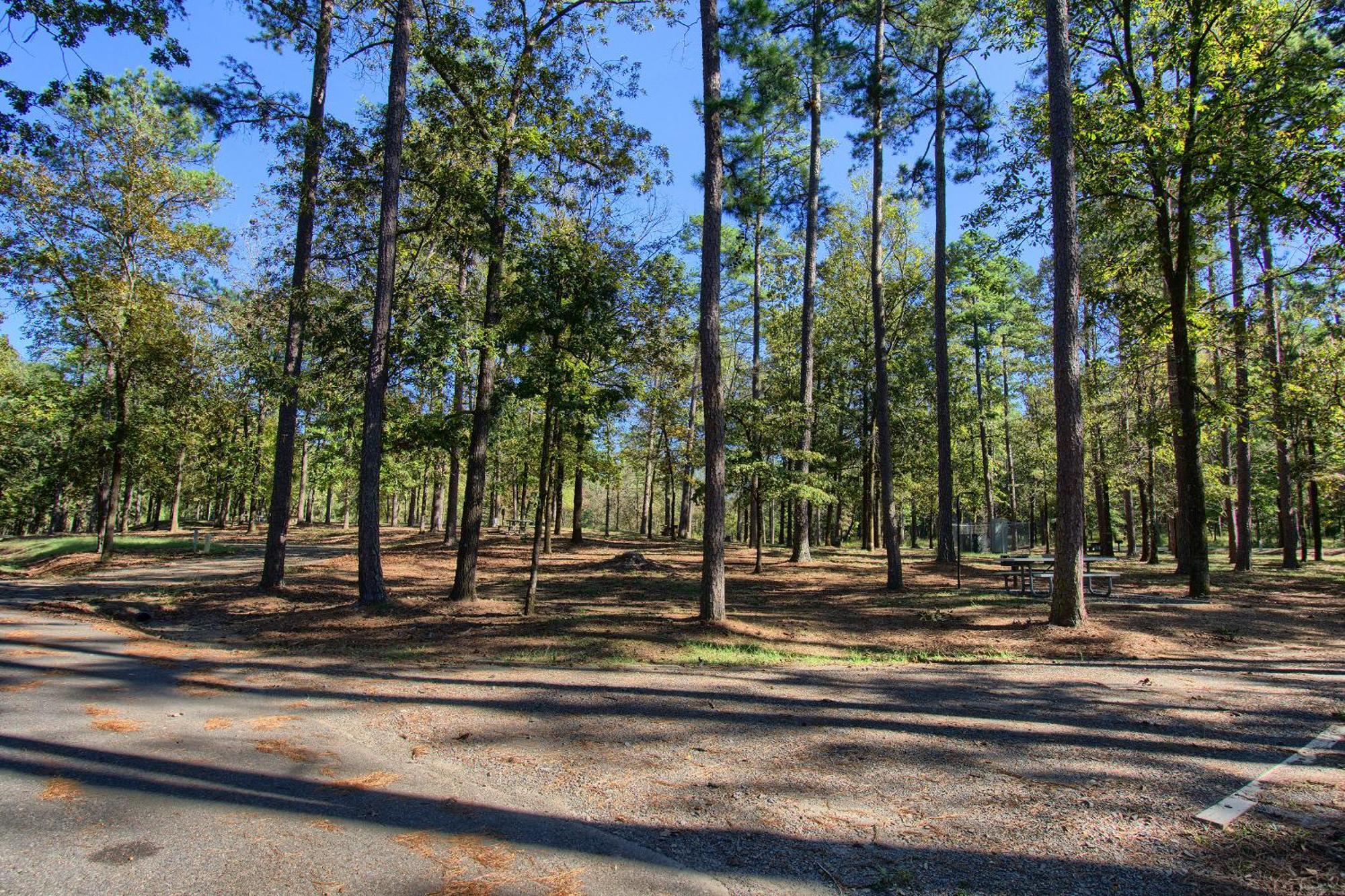 The Americana - Parker Creek Bend Cabins Murfreesboro Exterior foto