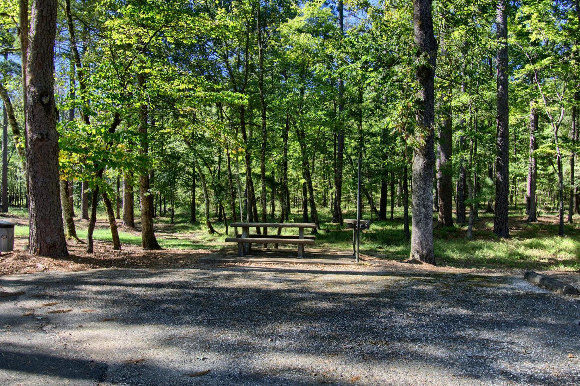 The Americana - Parker Creek Bend Cabins Murfreesboro Exterior foto